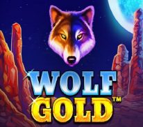 wolf gold